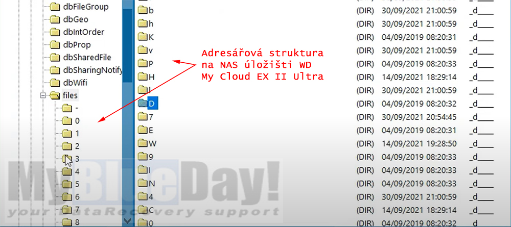 Adresářová struktura dat na externím NAS úložišti WD My Cloud